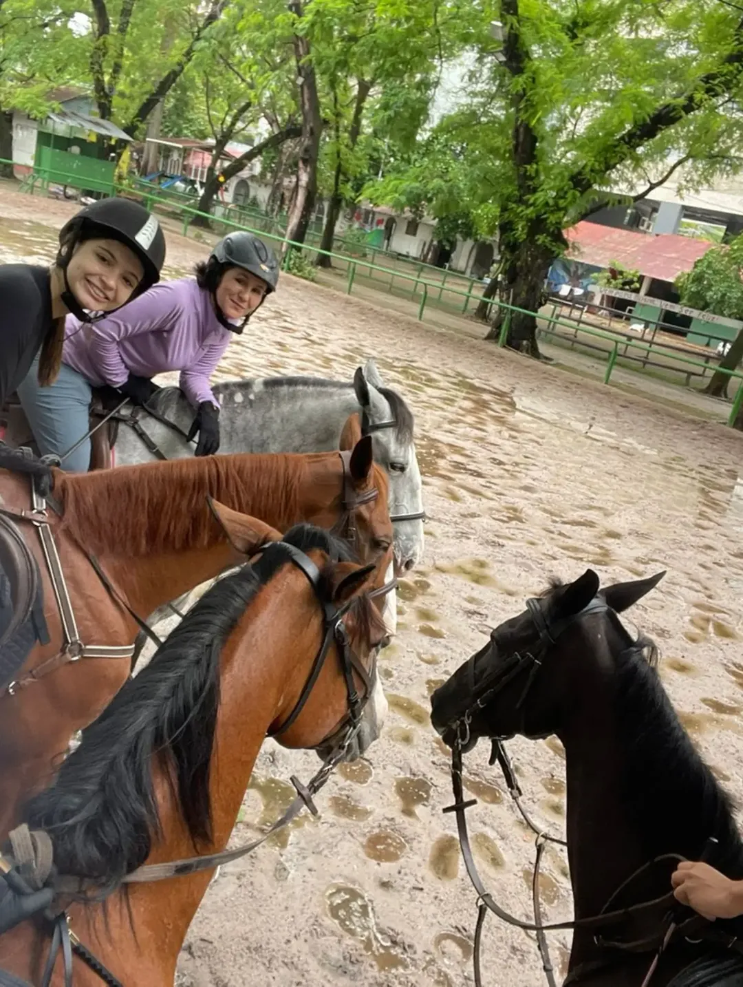AMAZADE CAVALO