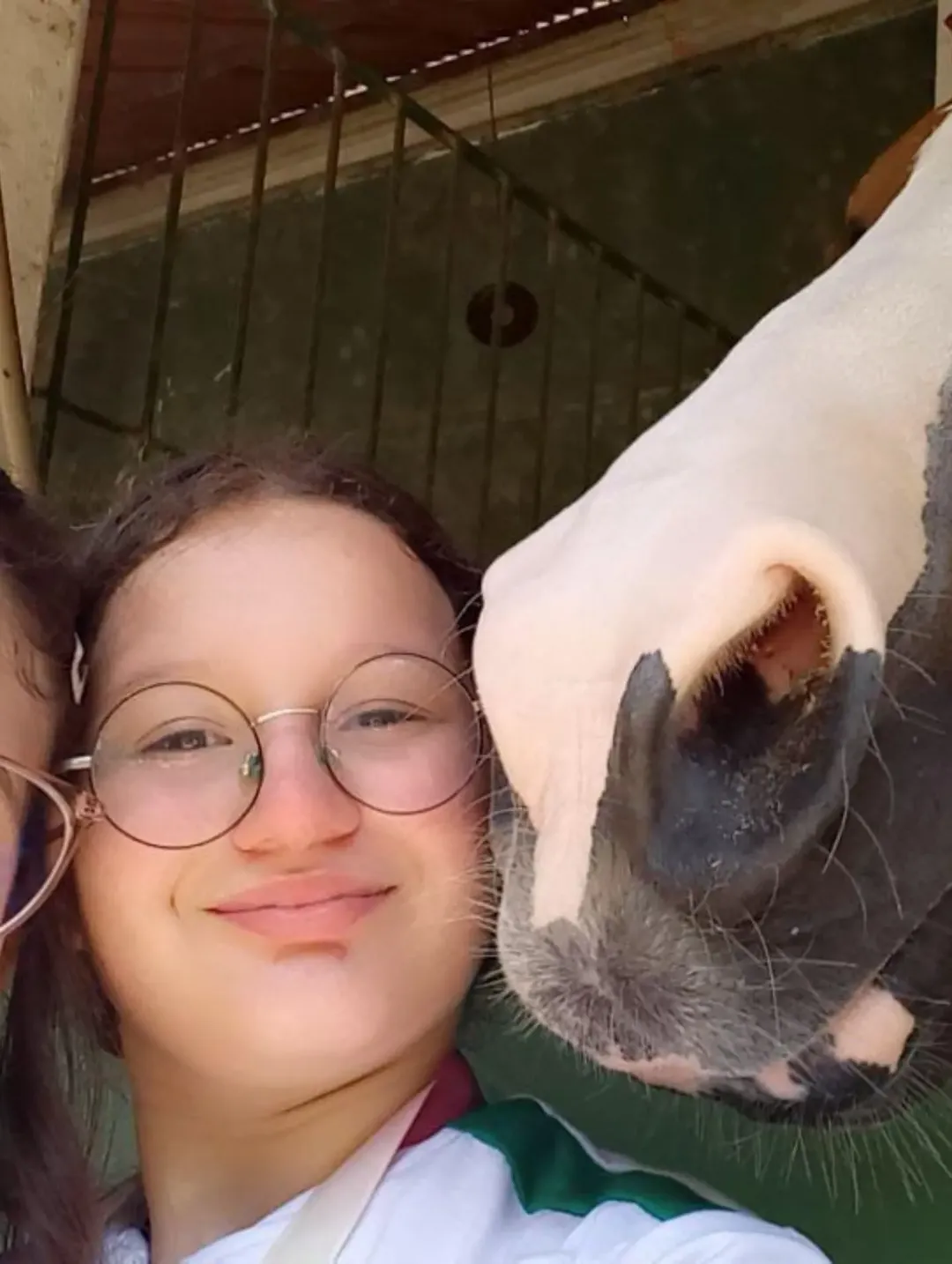 BJOS CAVALO